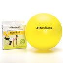Thera-Band Accessory Kit with door anchor and handles for home strength training, Moovkart