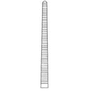 G.S Rochester Pean Hemostatic Forceps, Straight, 6 1/4 Inches