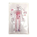 Skil-Care Human Anatomy Gel Pad – Interactive Sensory Learning Tool for Motor Skill Development & Tactile Stimulation, Moovkart.