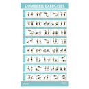 Vive Health Workout Poster, Laminated Exercise Chart for Strength and Flexibility Training