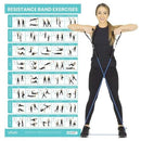 Vive Health Resistance Band Poster with 40 Full Color Exercises for Total Body Training