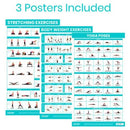 Vive Health No Equipment Required Poster, Full-Color, Laminated, Pack of 3