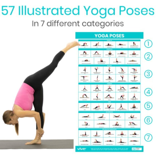 Vive Health No Equipment Poster Pack, Yoga, Body Weight, Stretching, Full-Color, Laminated