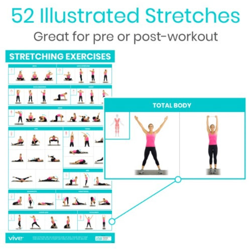 Vive Health No Equipment Poster Pack, Yoga, Body Weight, Stretching, Full-Color, Laminated
