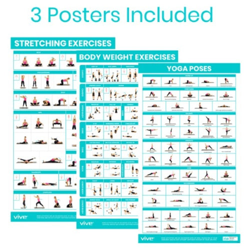 Vive Health No Equipment Poster Pack, Yoga, Body Weight, Stretching, Full-Color, Laminated
