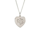 Apothecary Medical ID Necklace Reads Heart, Stainless Steel, 24 Inch, Engraved Identification Tag